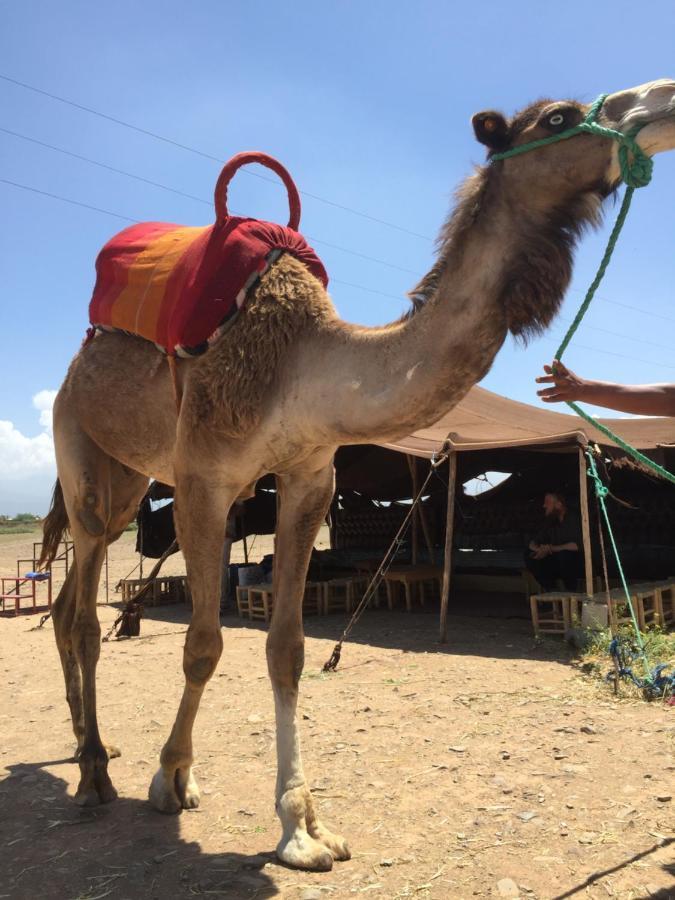 Riad Le Marrakech Berrima مراكش المظهر الخارجي الصورة